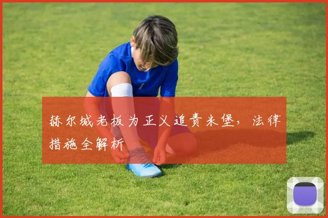 赫尔城老板为正义追责米堡，法律措施全解析